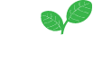 FSM Network