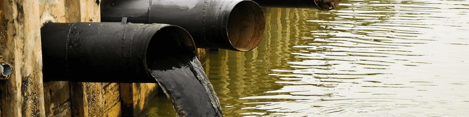 Sewage taints rivers, canals